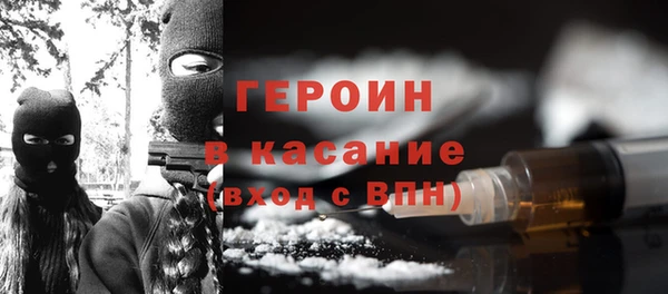 PSILOCYBIN Галич