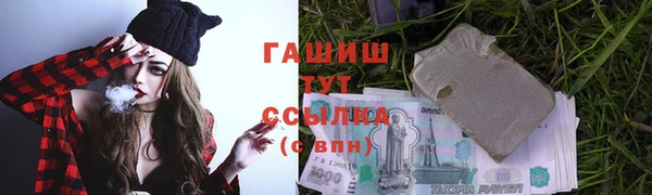 твердый Гатчина