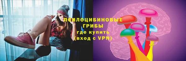 СК Новодвинск