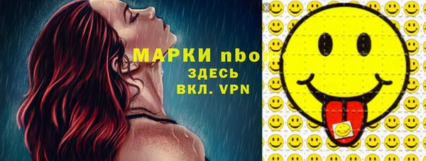 СК Новодвинск