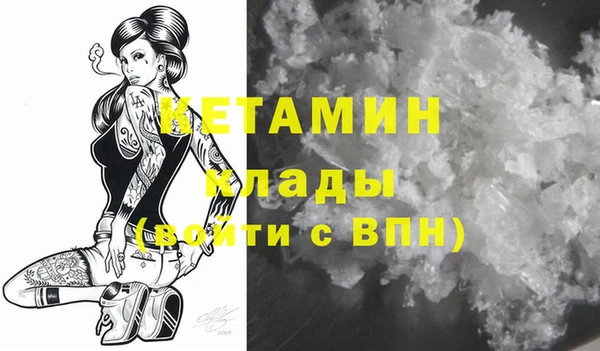 твердый Гатчина